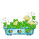 blume-0189.gif