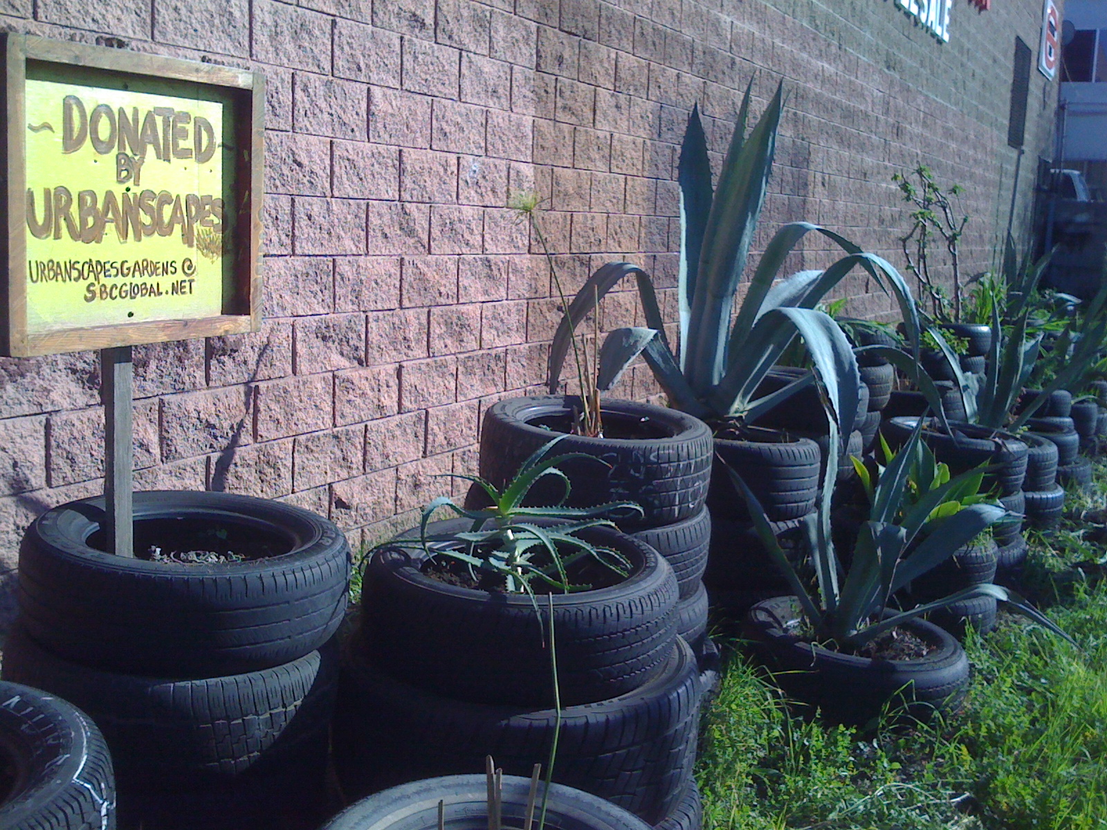 Bobs+Tire+006.jpg