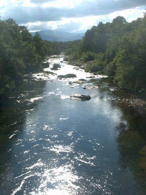Bohoyo-avila.jpg