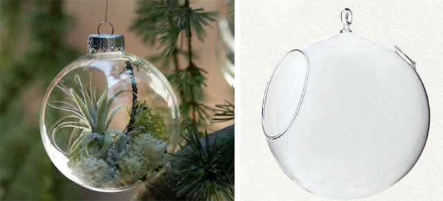 Bolas_Navidad_Plantas_www.plantamer.blogspot.com.jpg