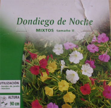 bolsa%20dondiegos%20copia.jpg