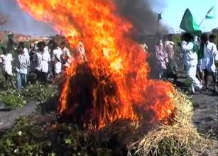 bonfire1.jpg
