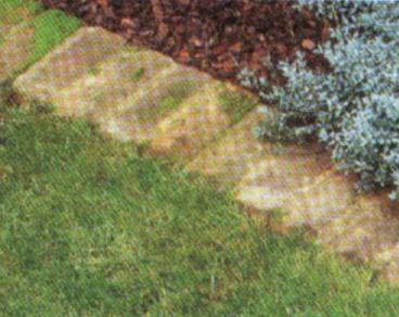 bordadura2.jpg
