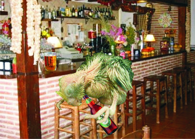borrac10.jpg