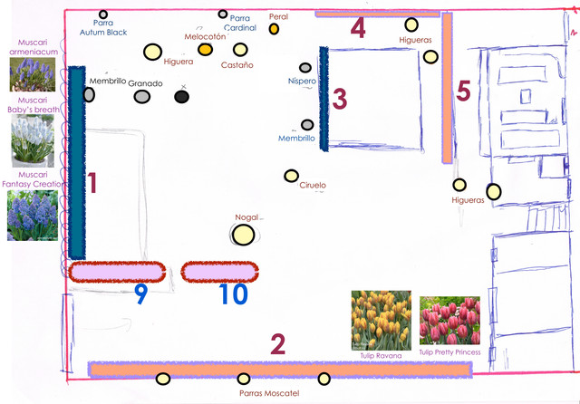 borrador-planocabrera01-plantas.jpg