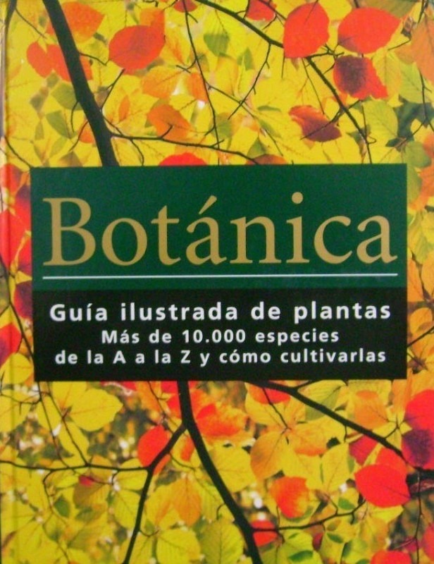 botanica-guia-ilustrada-de-plantas-david-ross-konemann-D_NQ_NP_757269-MCO25802155221_072017-F.jpg