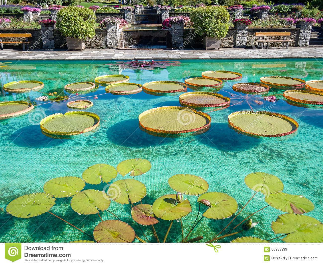 botanical-gardens-villa-taranto-italy-lily-pond-pallanza-verbania-60933939.jpg