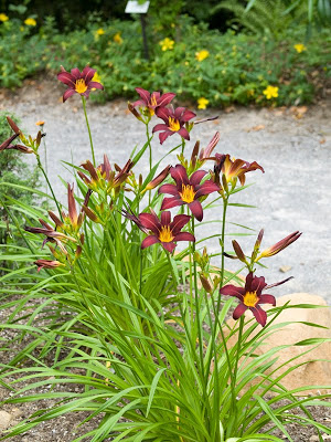 botanico_6569.jpg