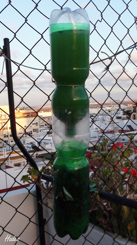 botellas.jpg