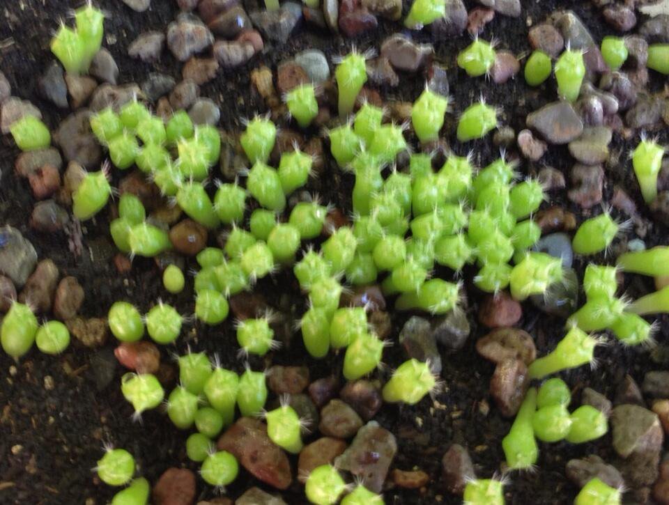 BQ6TCziCMAABPQJ.jpg