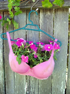 bra.jpg
