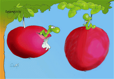 breck_Breck_1147280606.gif