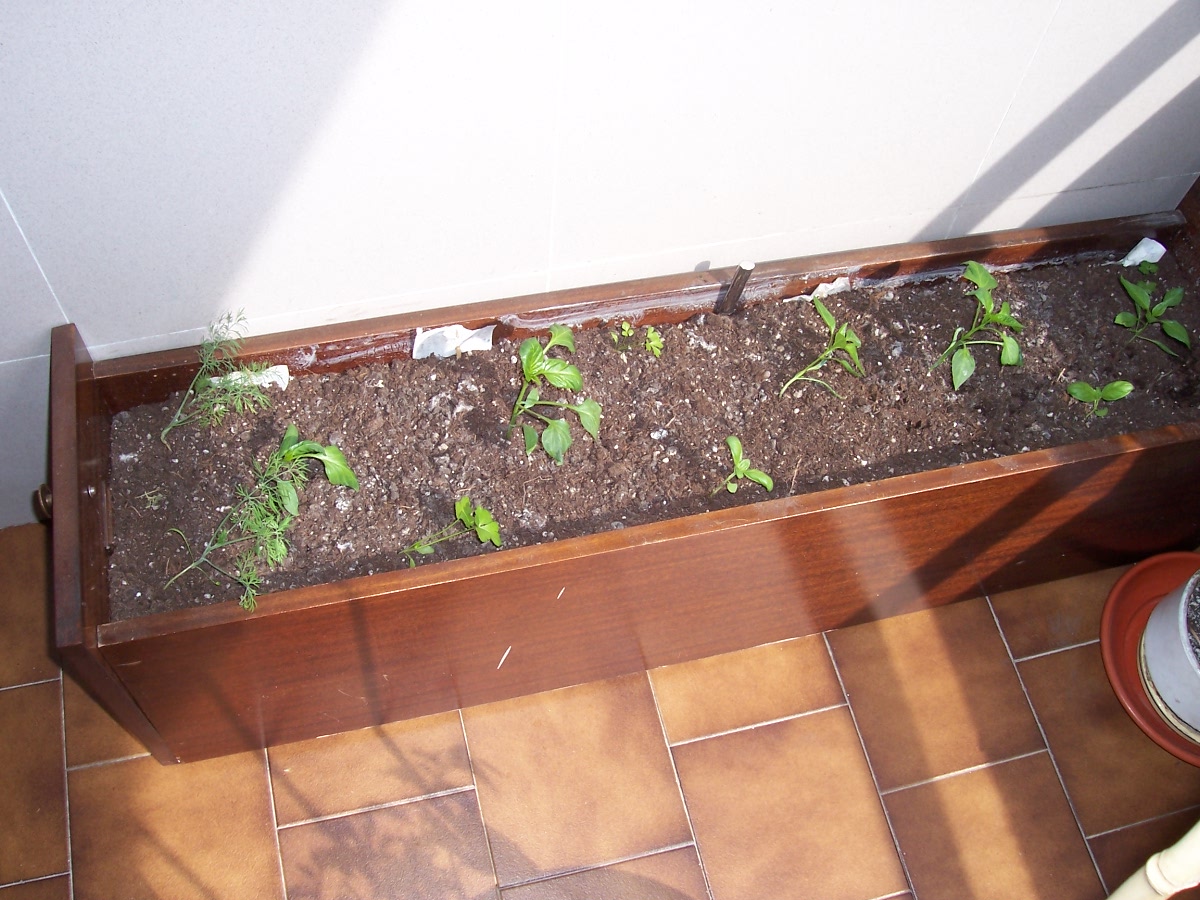 BRICOJARDINERA.jpg
