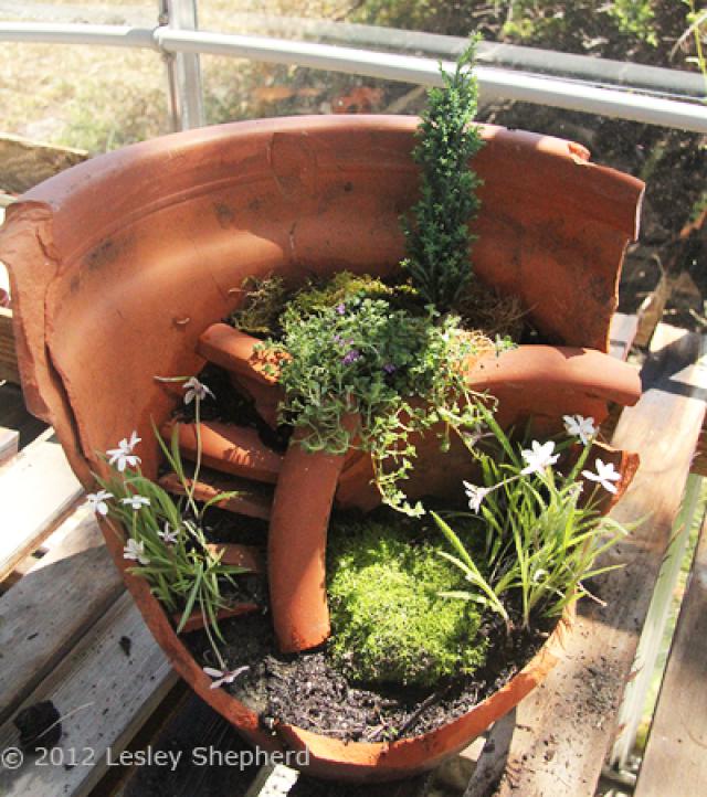 broken-flowerpot-planted.jpg