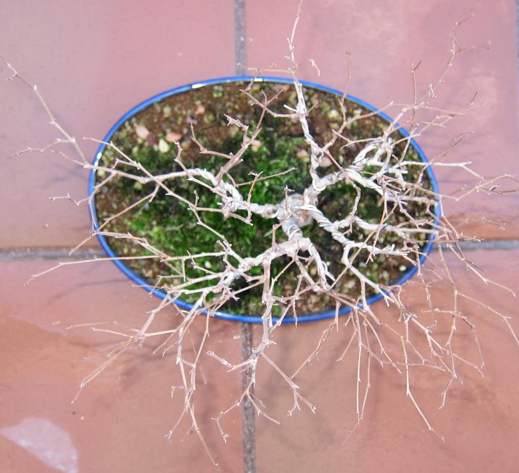 broom5_zps4e82e5d6.jpg