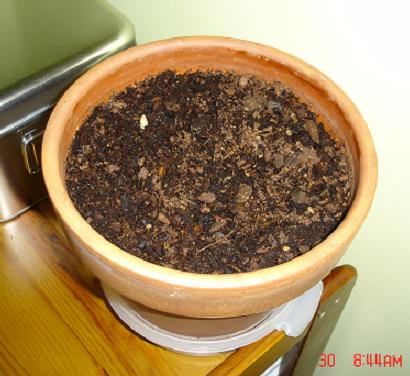 Brote%20290305.JPG
