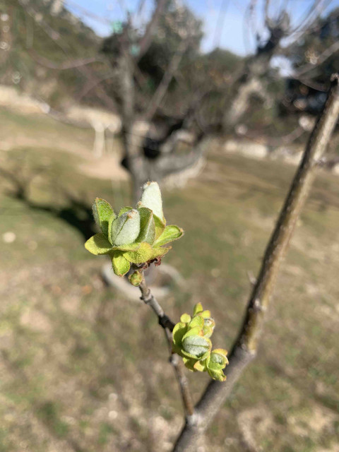 brotes-23febr02.jpg