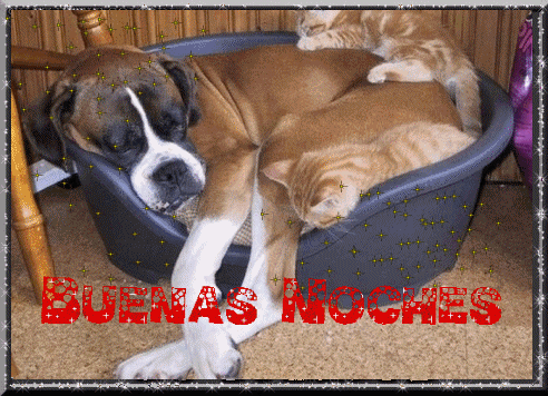 buenas%20noches%20(8)_thumb.gif