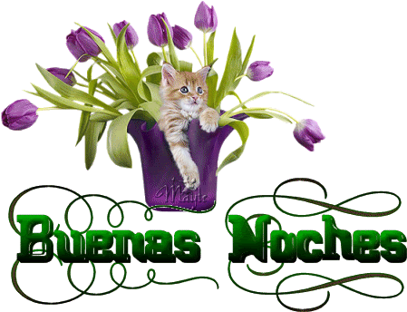BUENASNOCHES1.gif
