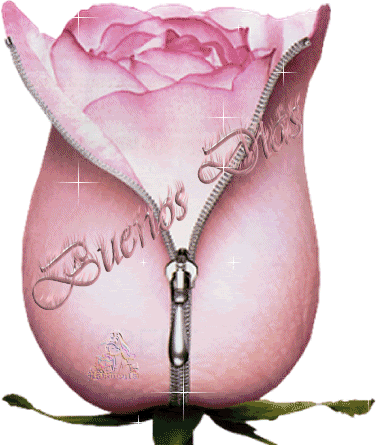 buendia-flor.gif