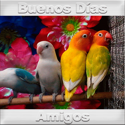 buenos-dias-amigos.gif