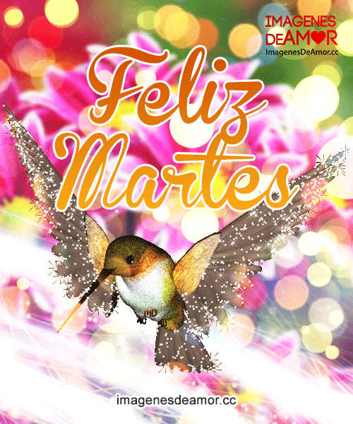buenos-dias-martes-gif-movimiento-animado-imagenes-frases-feliz-semana-bendecido-pinterest-15.gif
