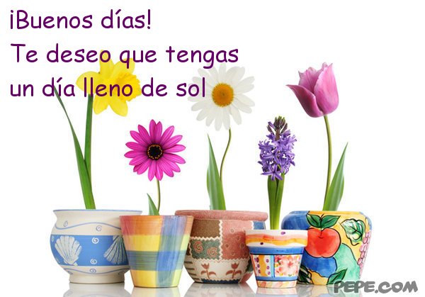 buenos_dias_te_deseo_que_tengas_un_dia_lleno_de_sol_0.jpg
