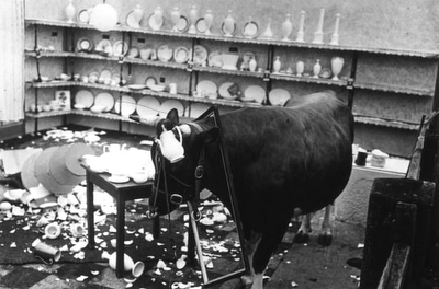 bull+in+a+china+shop.png