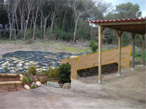buxus%203.jpg