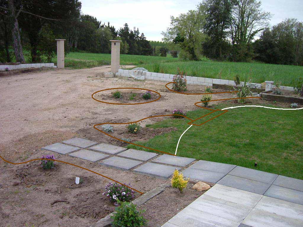 buxus-prueba.JPG
