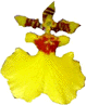 bwy1190697648f.GIF