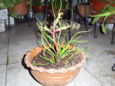bwy1202012390w.jpg