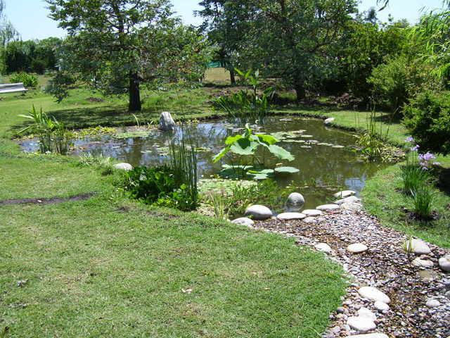 bwy1202232976x.jpg