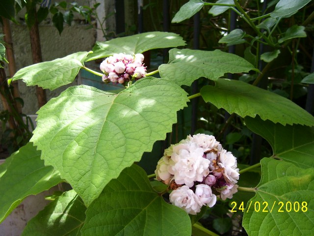 bwy1203891349z.jpg