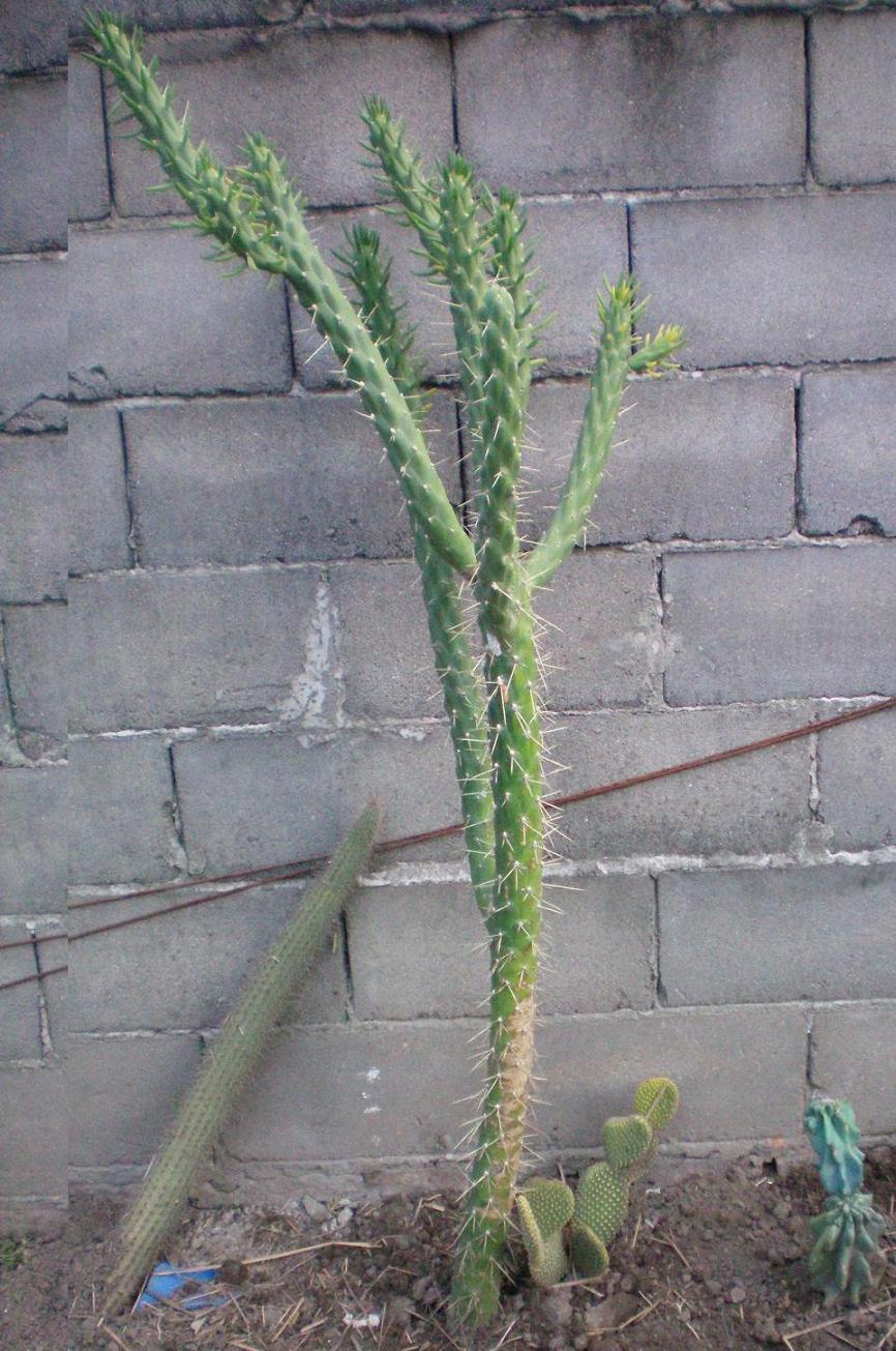 bwy1207740874k.jpg