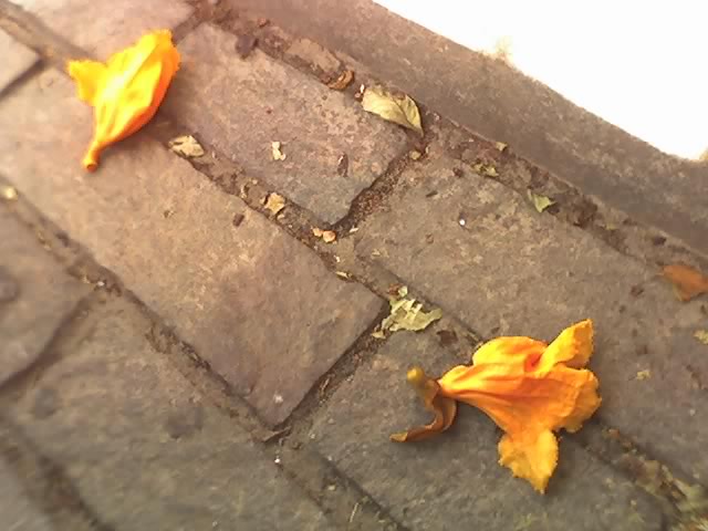 bwy1209055581p.jpg