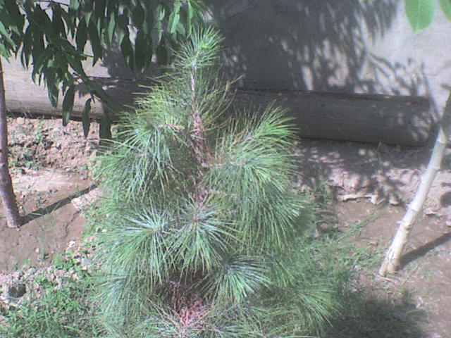 bwy1211412756w.JPG