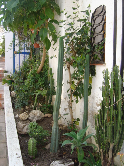 bwy1212157297a.JPG