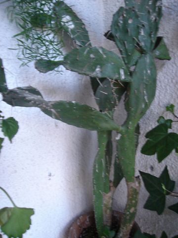bwy1212280019f.JPG