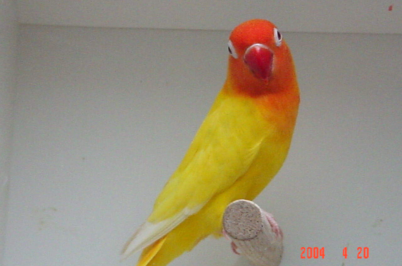 bwy1212440702d.jpg