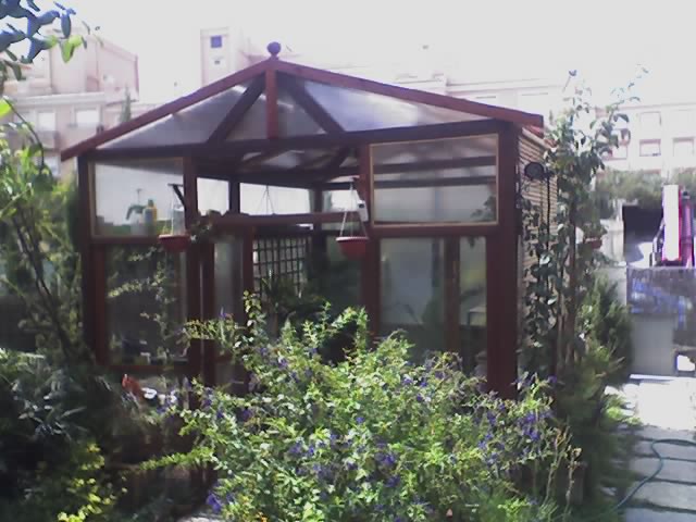 bwy1212518658h.jpg
