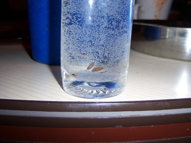 bwy1212519670w.JPG