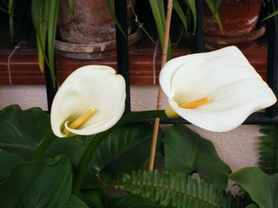 bwy1212532826u.jpg