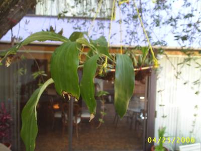 bwy1212539067w.JPG