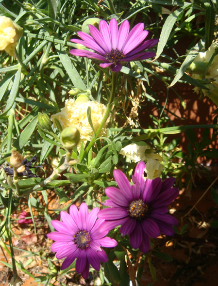 bwy1212579346u.jpg