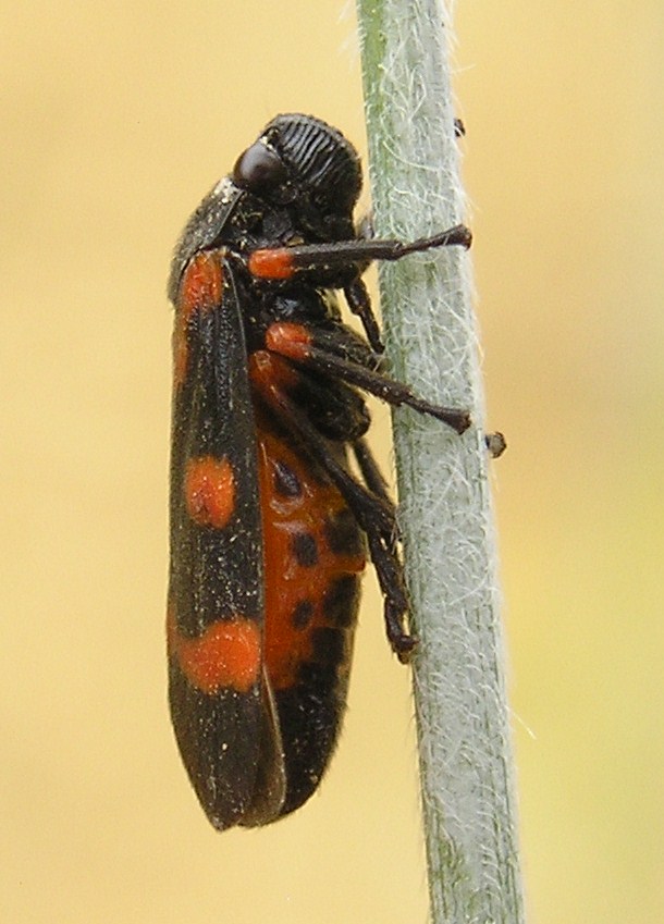 bwy1212589912k.JPG