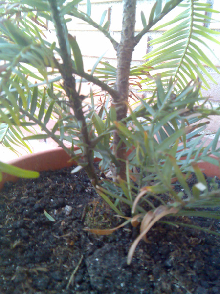 bwy1212590670j.jpg