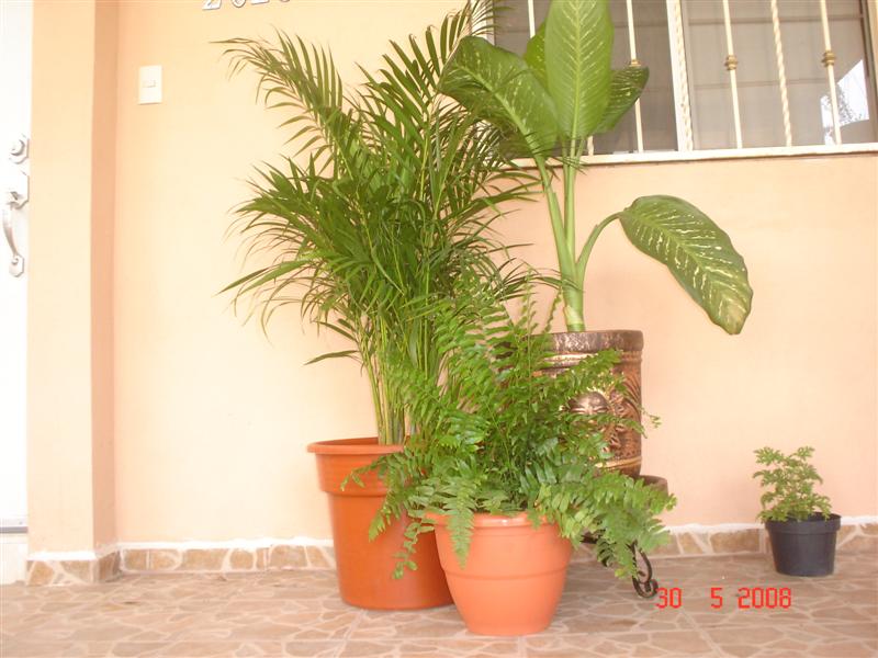 bwy1212600038c.JPG