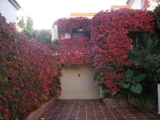 bwy1212622308o.jpg