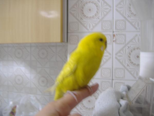 bwy1212758958y.JPG
